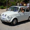 Montevago 2010 (254)